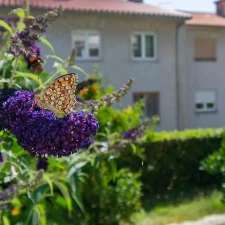 Appartement With Parking Space Rab - 14120